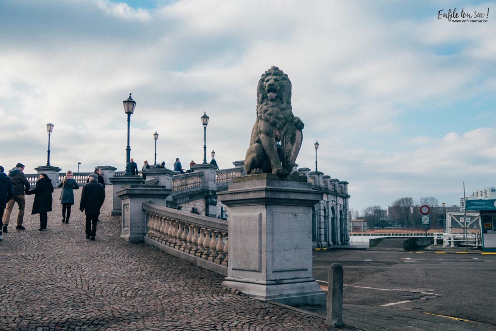 28012017 IMG 2067 2 visites incontournables à voir à Anvers