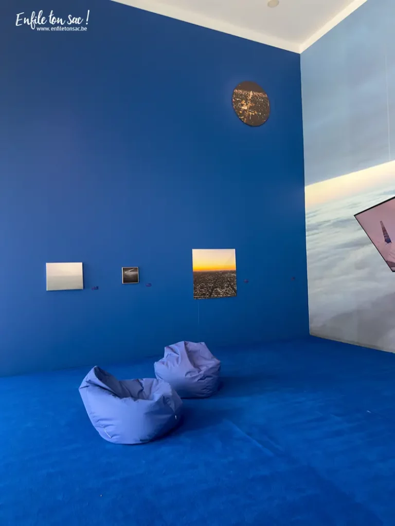 %name Cristina Garrido au MACS : une artiste engagée qui déconstruit le monde de lart