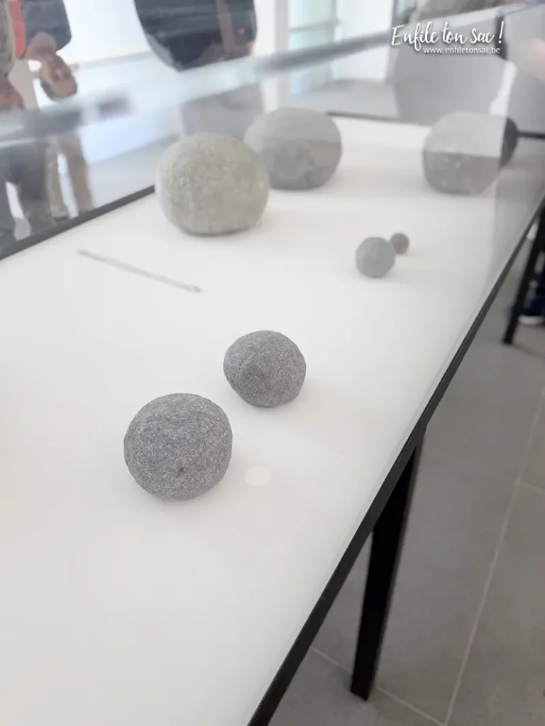 %name Cristina Garrido au MACS : une artiste engagée qui déconstruit le monde de lart